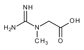 Creatine – An Evidence Based Review